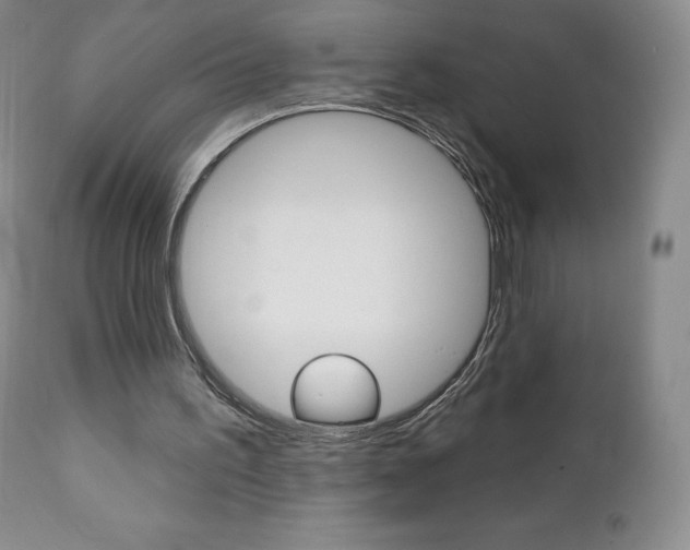 X0000112000195200908031054
