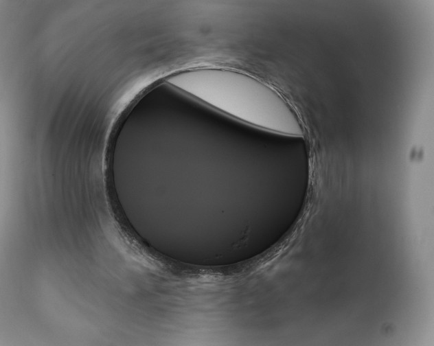 X0000112000196200908031054