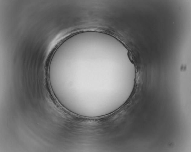 X0000112000198200908031054