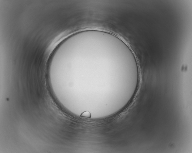 X0000112000199200908031054
