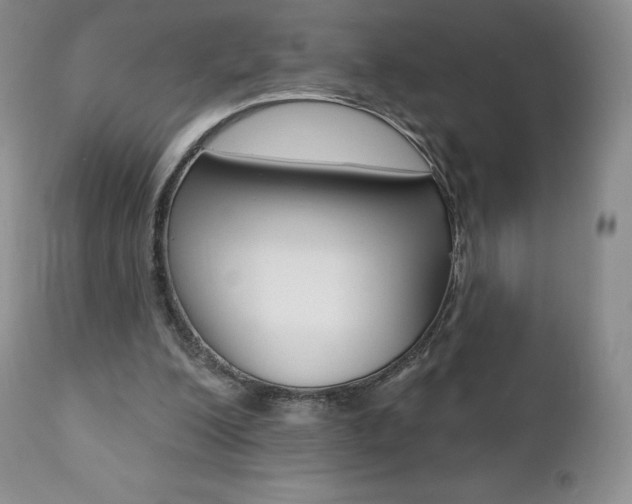 X0000112000200200908031054