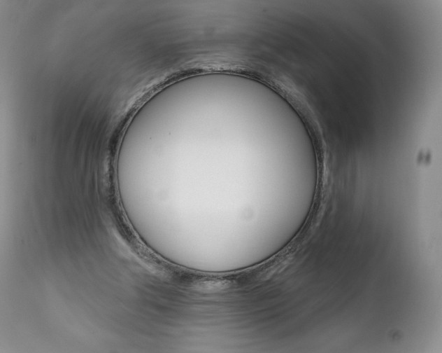 X0000112000202200908031054