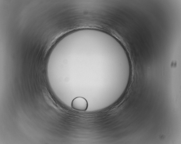 X0000112000203200908031054