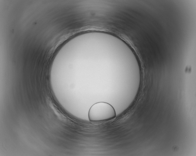 X0000112000205200908031054