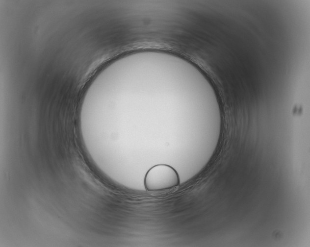 X0000112000207200908031054