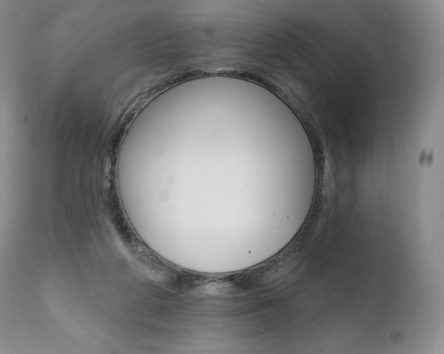 X0000112000210200908031054