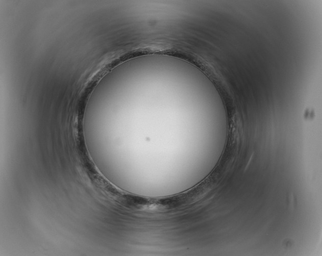 X0000112000212200908031054