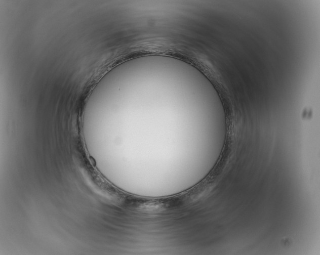 X0000112000213200908031054