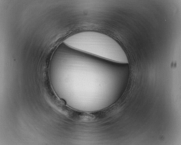X0000112000215200908031054