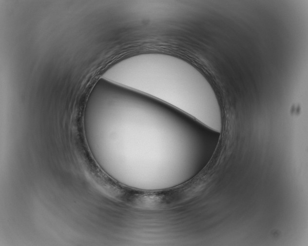 X0000112000217200908031054