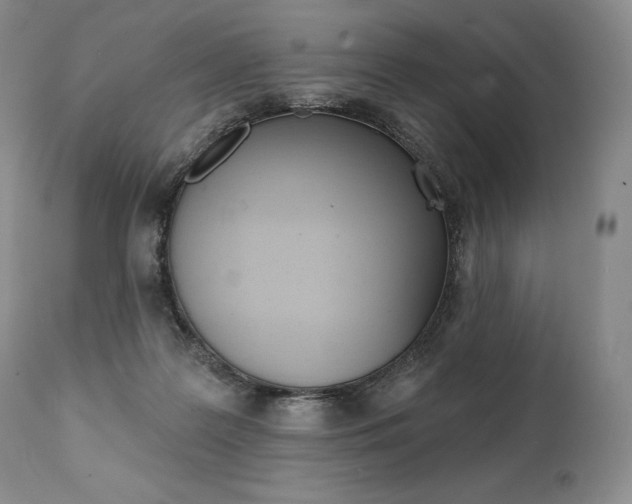 X0000112000219200908031054