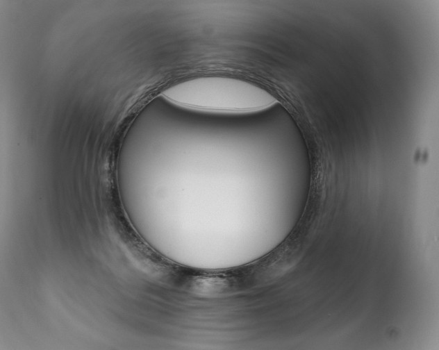 X0000112000220200908031054