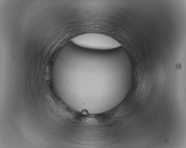 X0000112000224200908031054