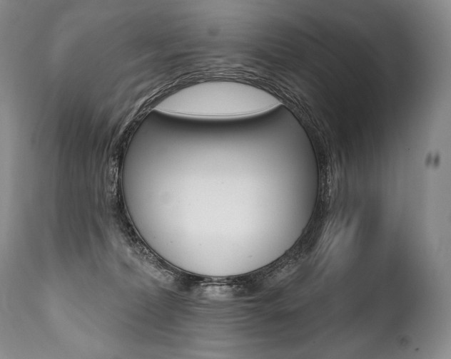 X0000112000228200908031054