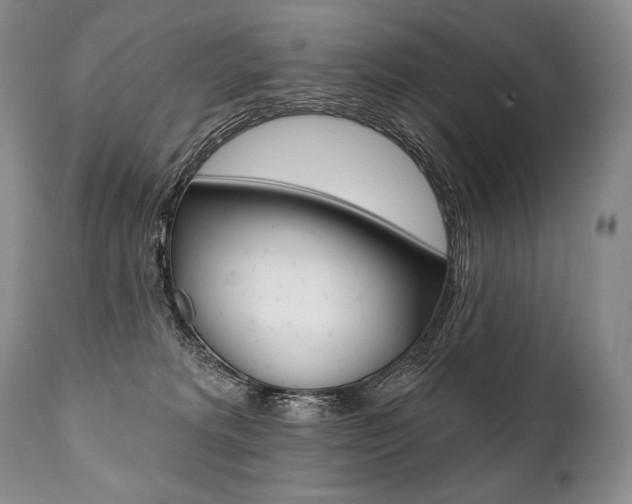 X0000112000229200908031054