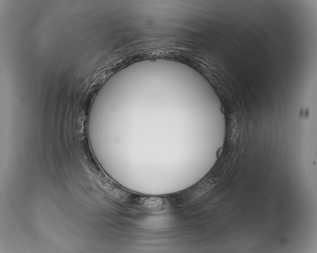 X0000112000230200908031054