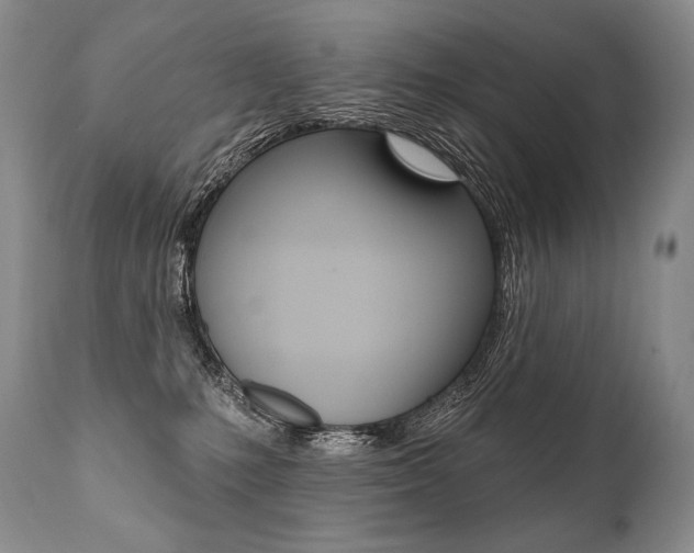 X0000112000231200908031054