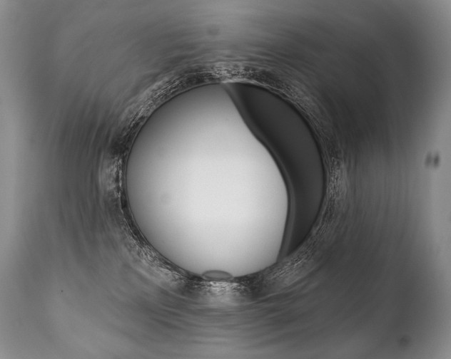 X0000112000233200908031054