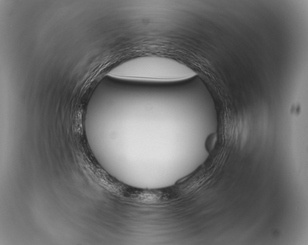 X0000112000236200908031054
