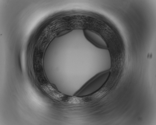 X0000112000239200908031054