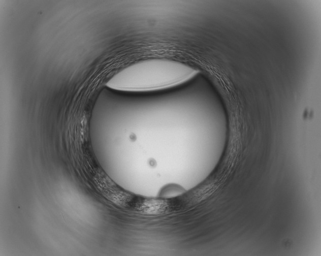 X0000112000240200908031054