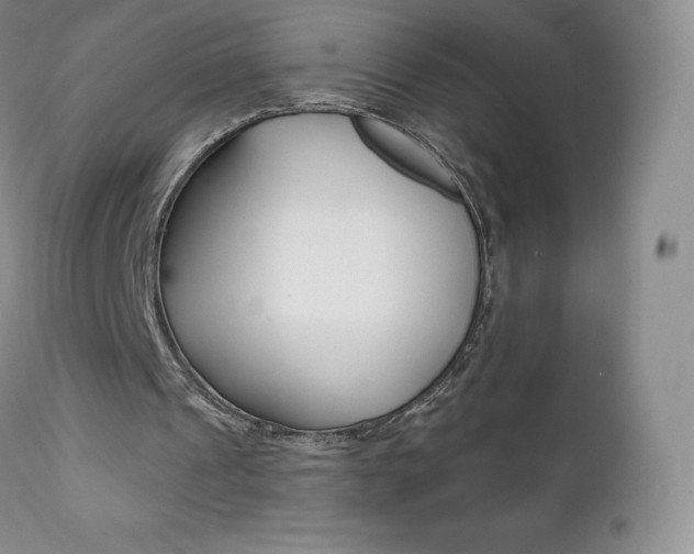 X0000112000241200908031053