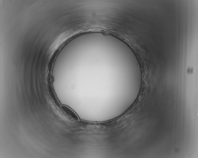 X0000112000242200908031053
