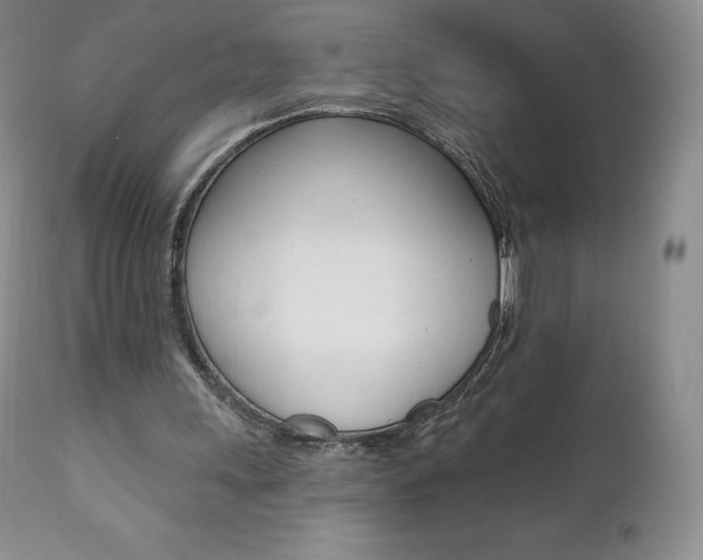 X0000112000243200908031053