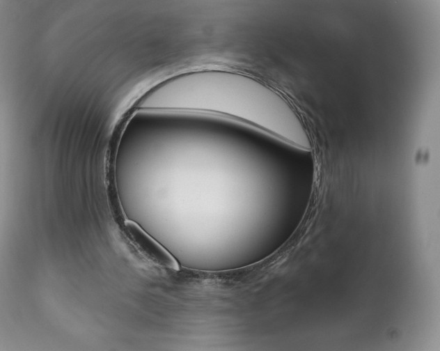X0000112000244200908031053