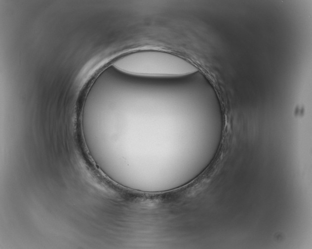 X0000112000247200908031053