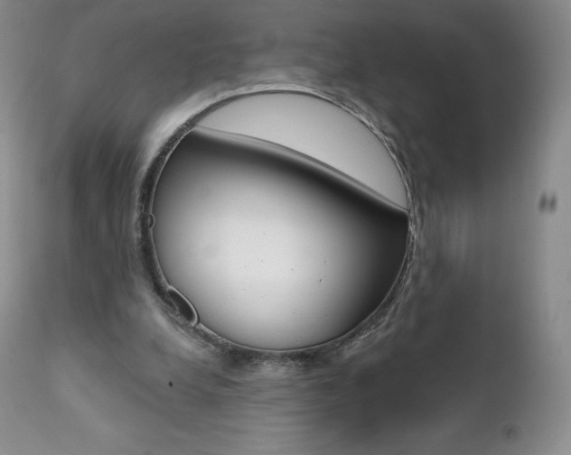 X0000112000248200908031053