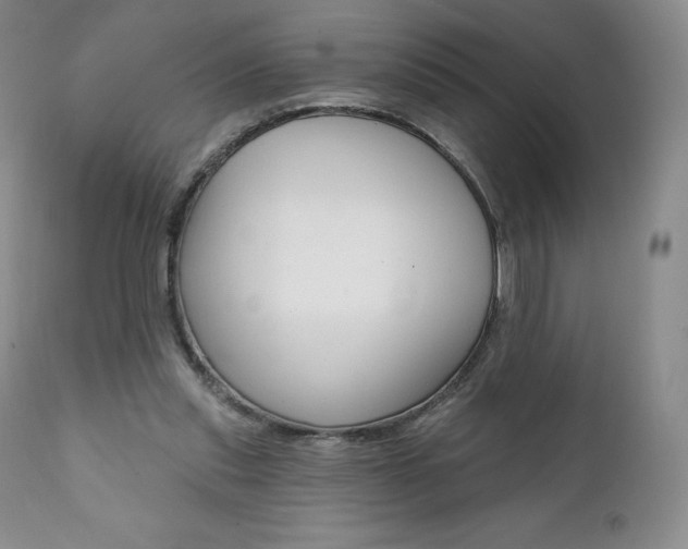 X0000112000253200908031053