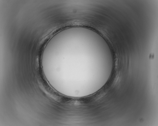 X0000112000254200908031053