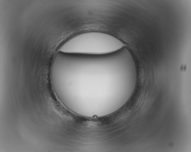 X0000112000255200908031053