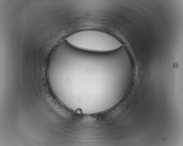 X0000112000257200908031053
