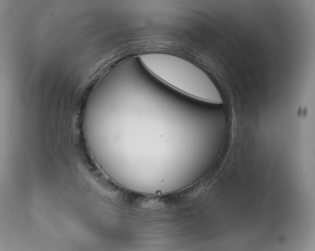 X0000112000258200908031053