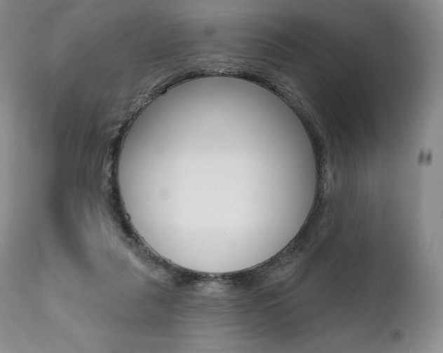 X0000112000259200908031053
