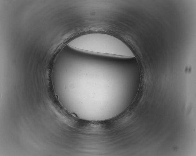 X0000112000260200908031053