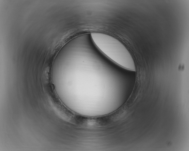 X0000112000264200908031053