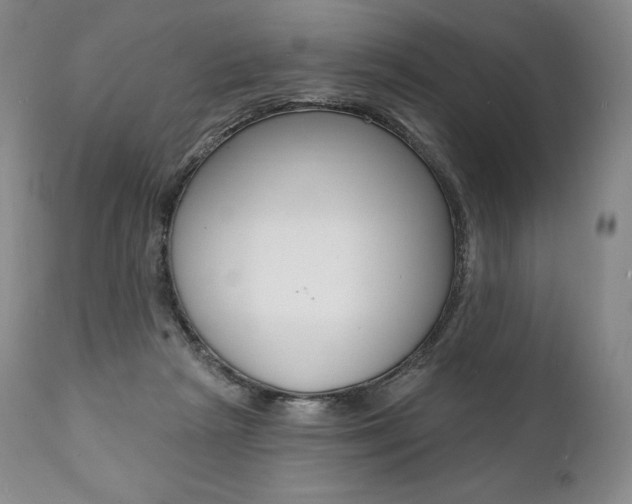 X0000112000265200908031053