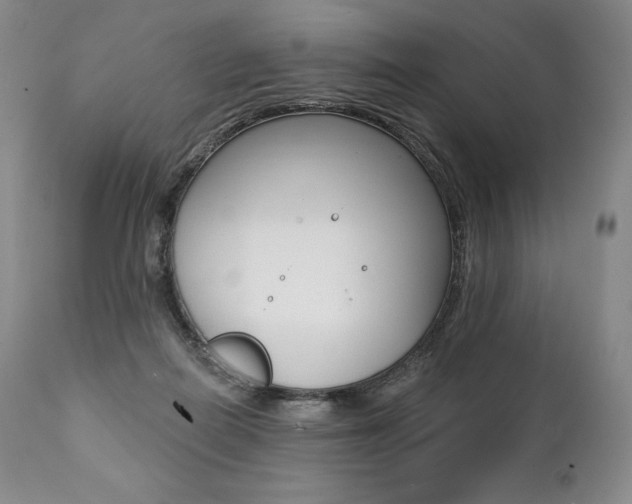 X0000112000266200908031053