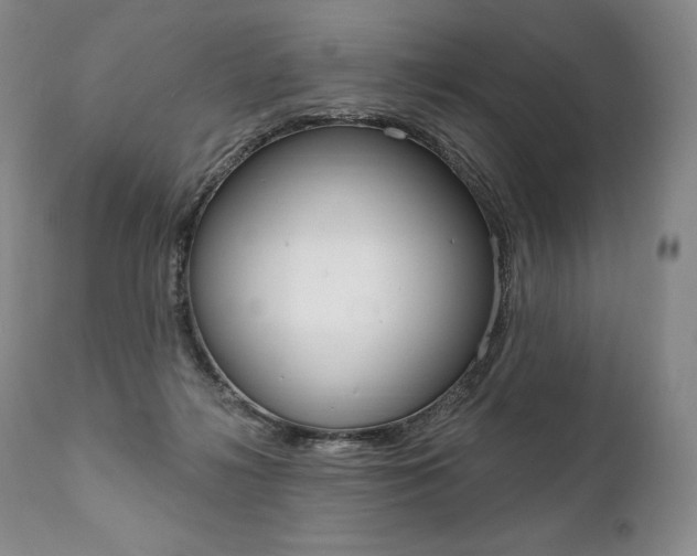 X0000112000268200908031053