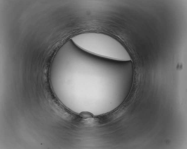 X0000112000269200908031053