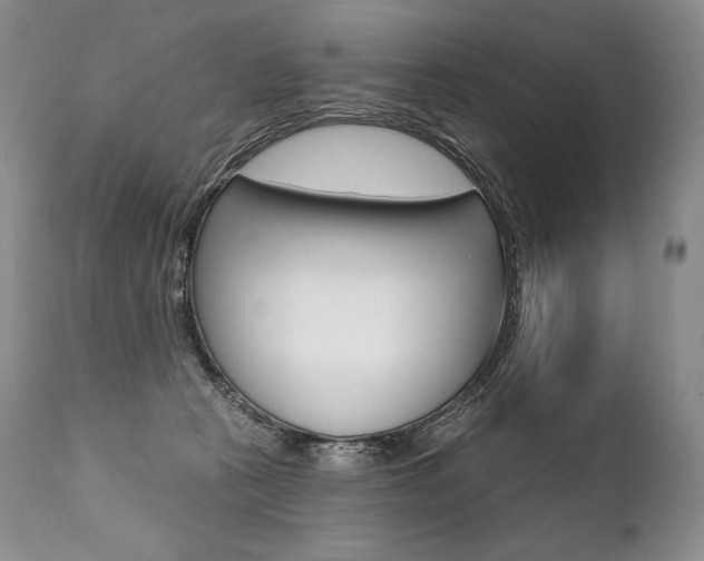 X0000112000273200908031054