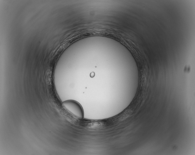 X0000112000274200908031054