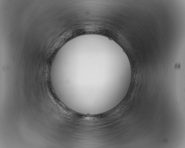 X0000112000277200908031054
