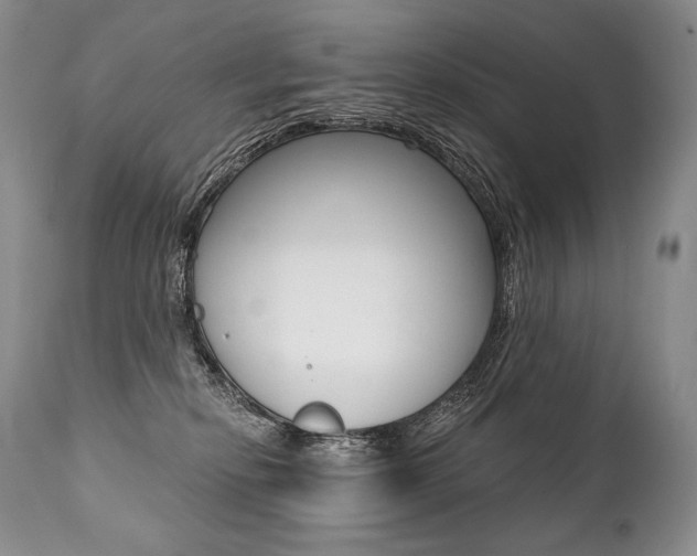 X0000112000278200908031054