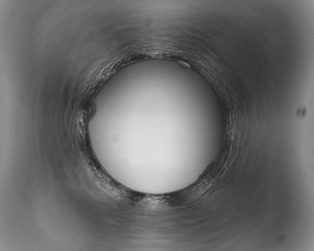 X0000112000280200908031054