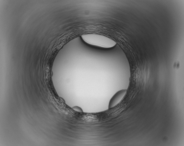 X0000112000283200908031054