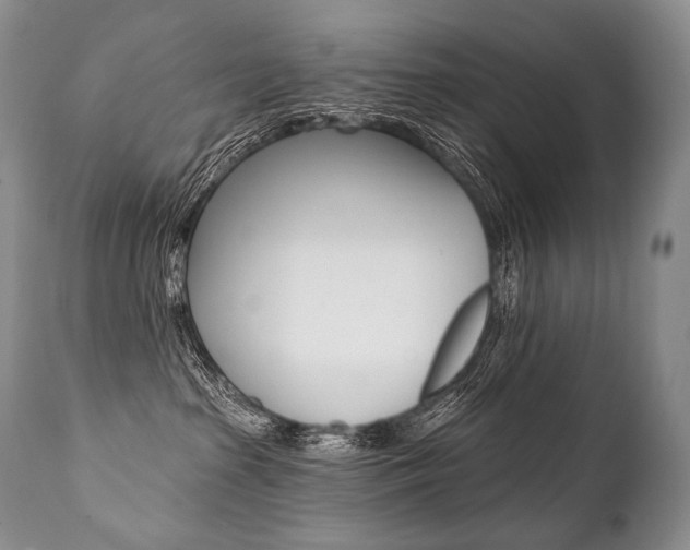 X0000112000285200908031054